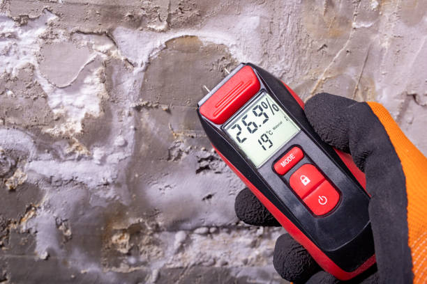 Best Mold Remediation for Specific Building Types in Terryville, CT
