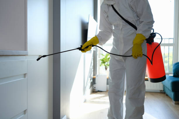 Best Preventive Mold Services in Terryville, CT